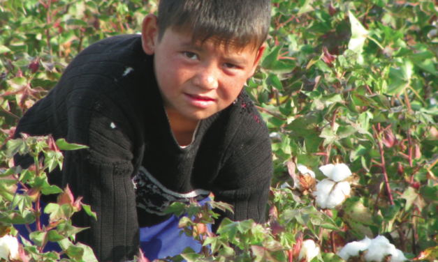 Uzbekistan, A Slave Nation For Our Cotton?
