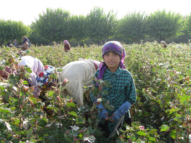 COTTON CHRONICLE, Issue 8, November 9, 2010