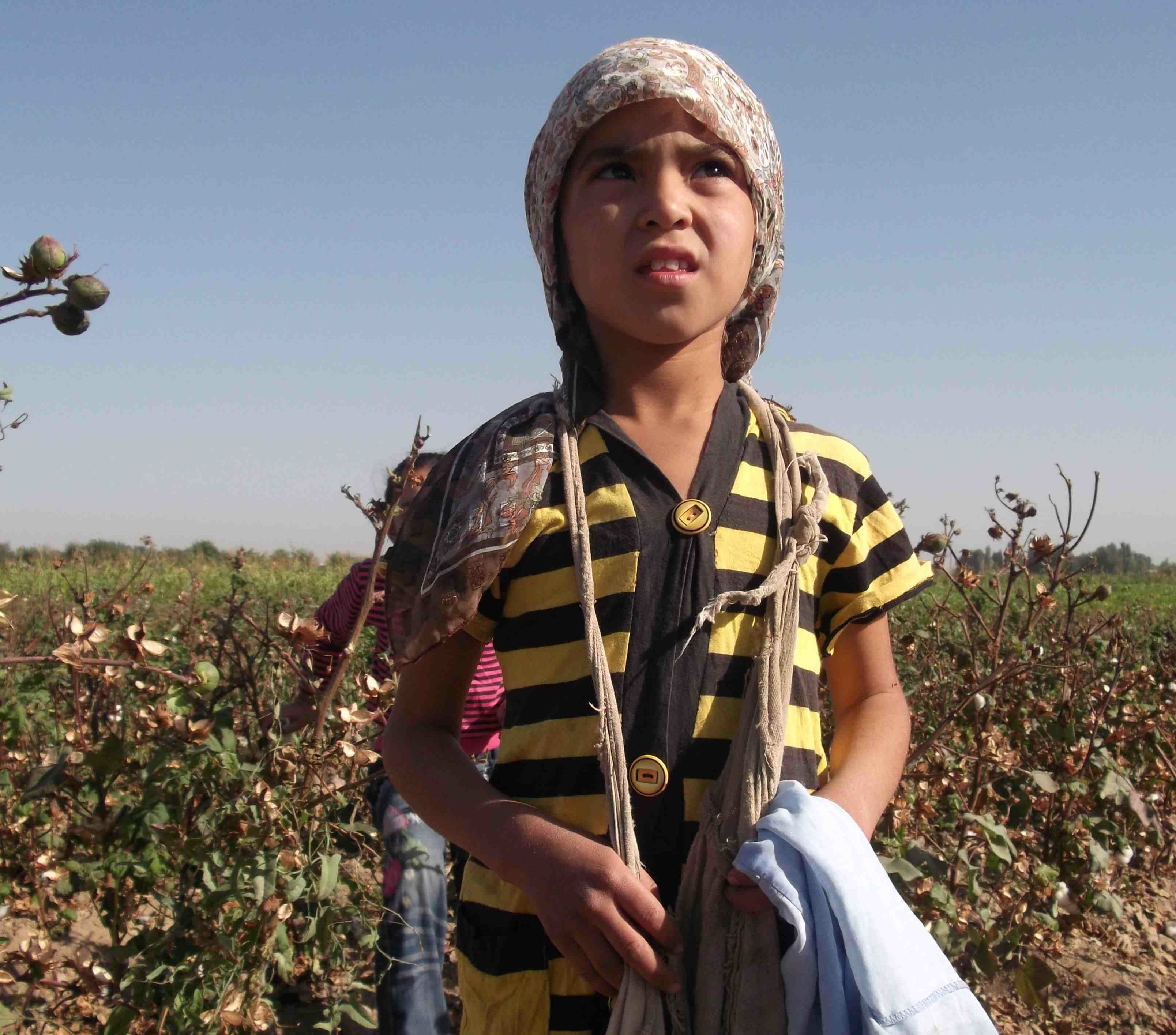 forced-child-labor-during-the-cotton-harvest-in-uzbekistan-monitoring