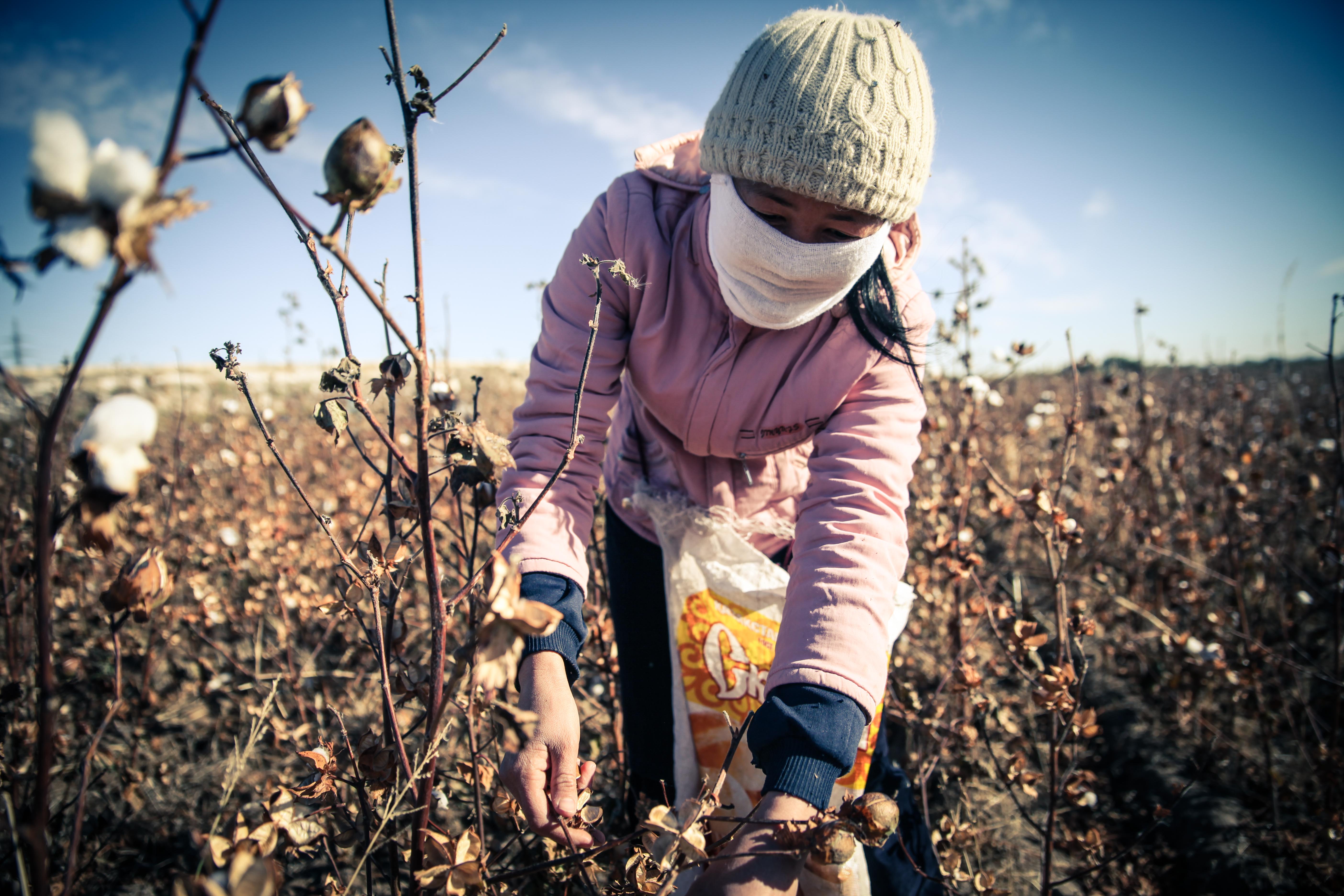 NEW REPORT RELEASED: Forced Labor Linked to World Bank