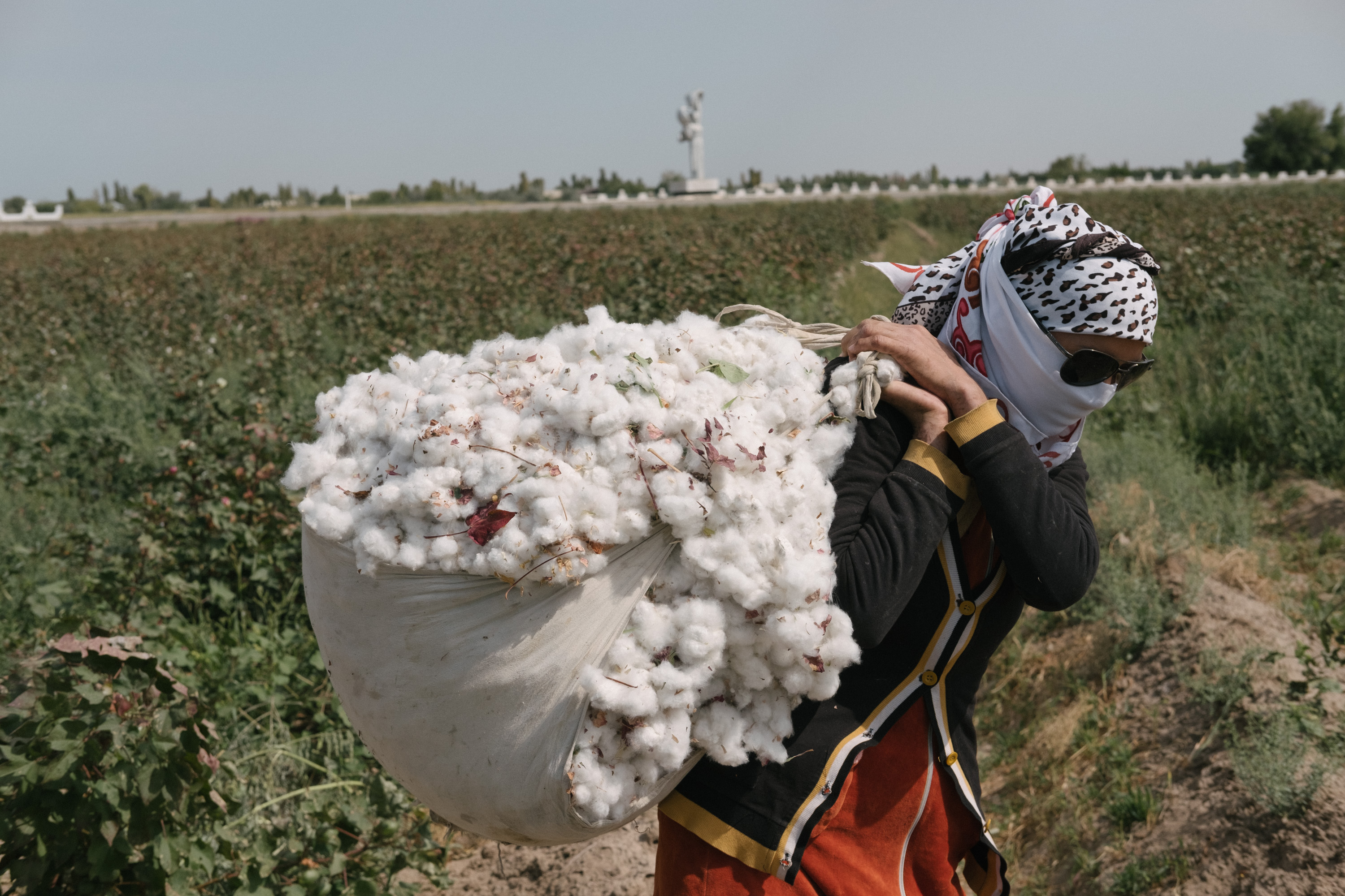 Cotton Campaign Meets with Senior Uzbek Officials in Washington —  Parties Agree to Intensify Dialogue on Ending Forced Labor