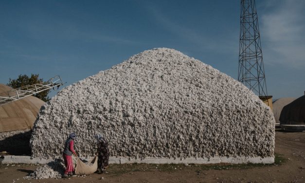 UK must end trade complicity in Uzbek forced labour