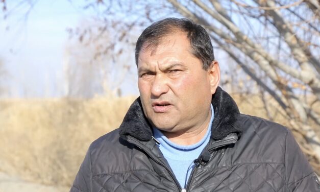 No place for independent cotton cooperatives in New Uzbekistan
