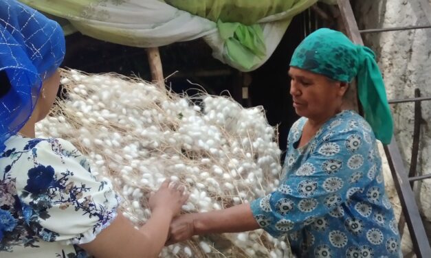 An Economist vs. Uzbekistan’s Silk Industry: Whose Facts Matter?