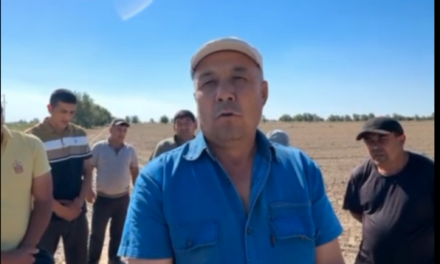 Farmers Allege Forced Land Seizures and Destruction of Nearly 300 Hectares of Wheat