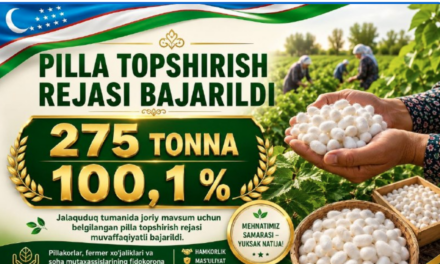 Farmers Report Extortion, Falsification of Quotas and Delayed Payments in Uzbekistan’s Silk Industry